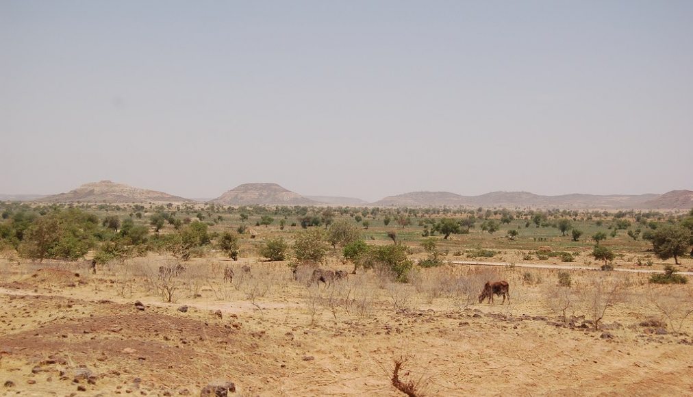 Les premiers déradicalisés de Boko Haram au Niger / ©Wikimedia Commons/Roland Hunziker/CC BY-SA 2.0