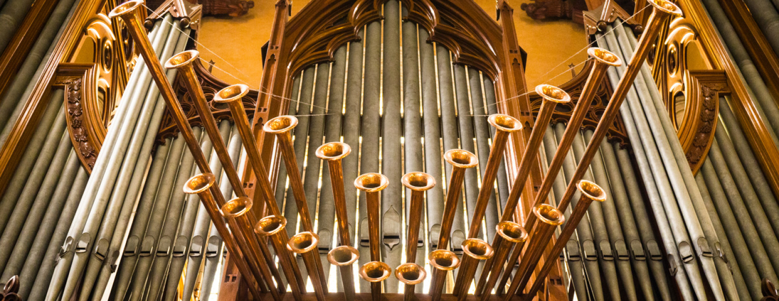 L&#039;orgue, un instrument indétrônable? / ©iStock