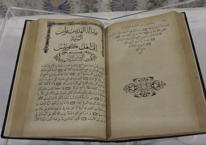 ©Sami Mlouhi, CC BY-SA 4.0, Wikimedia Commons