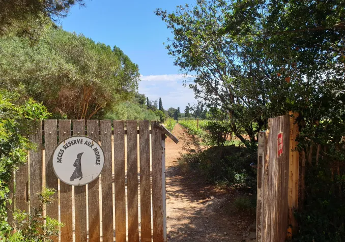 Le jardin du monastère de Lérins ©Matthias Wirz