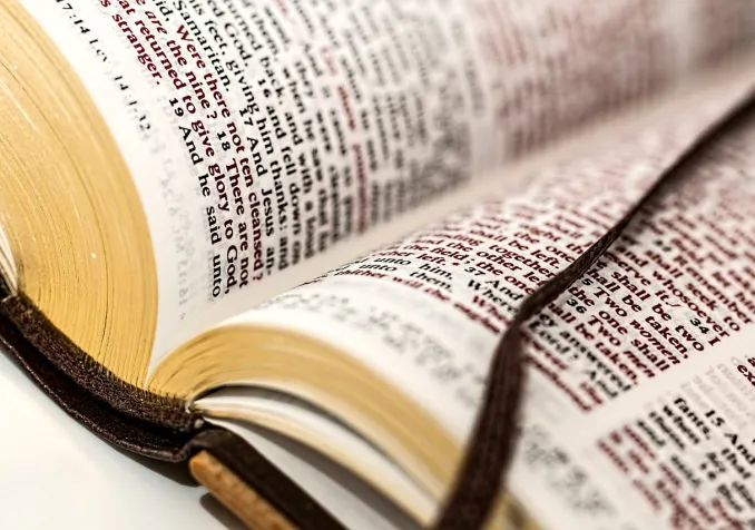 Sept paroles qui en disent long Bible