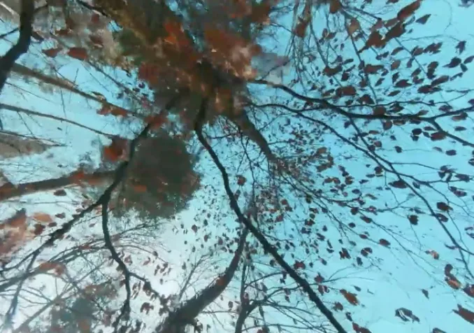 La mélodie du vivant ©RTSreligion