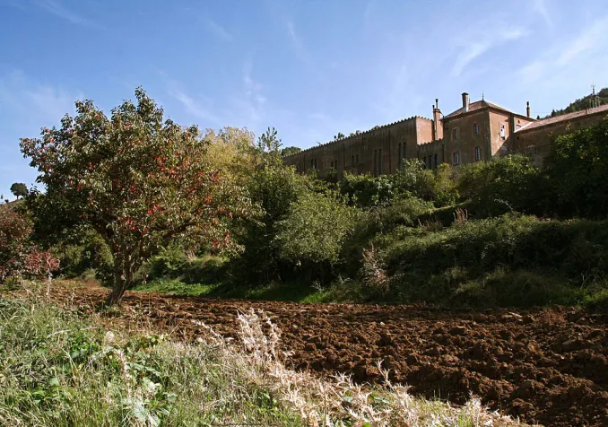 ©Ps2613, CC BY-SA 3.0 Wikimedia Commons