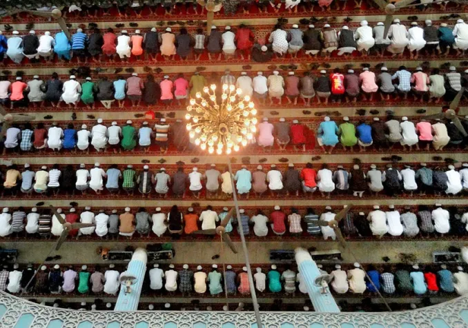 © Wikimedia Commons (CC-BY-SA-2.0 / Shaeekh Shuvro)