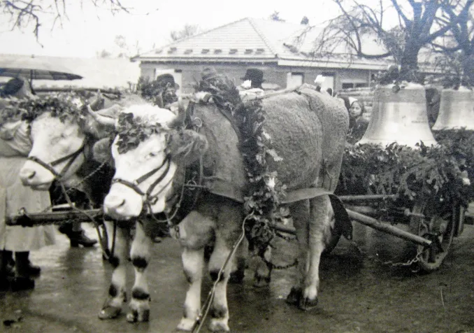 ©Collection des Biviades