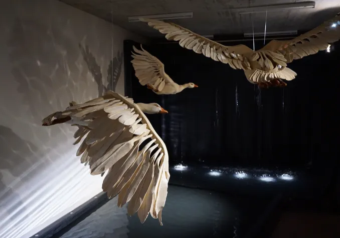 © Fanny Anderegg : LDD