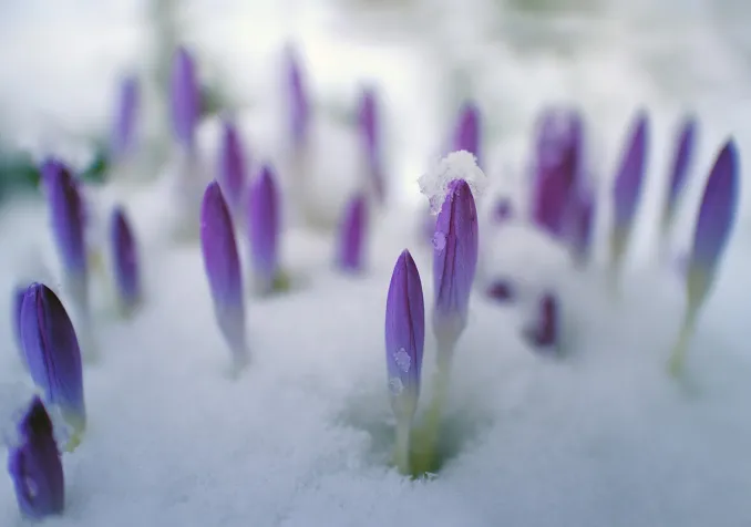 Des paroles d’espérance à partager ©Pixabay