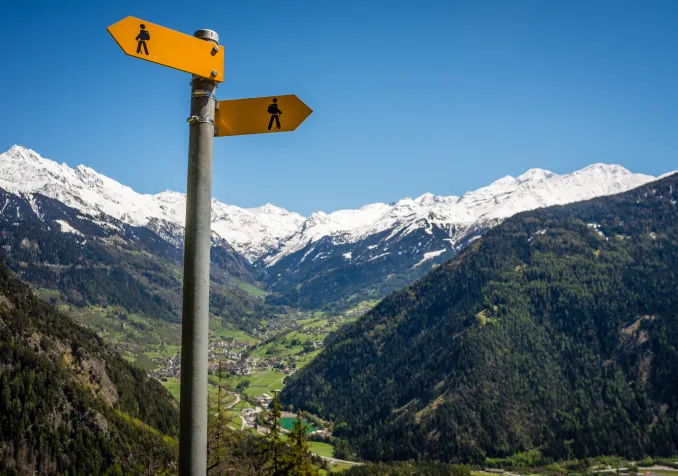 © Istock / cdbrphotography