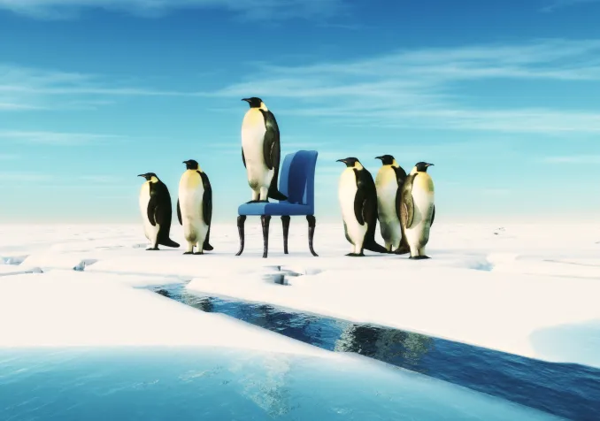 © Istock / Orla © Istock / Orla