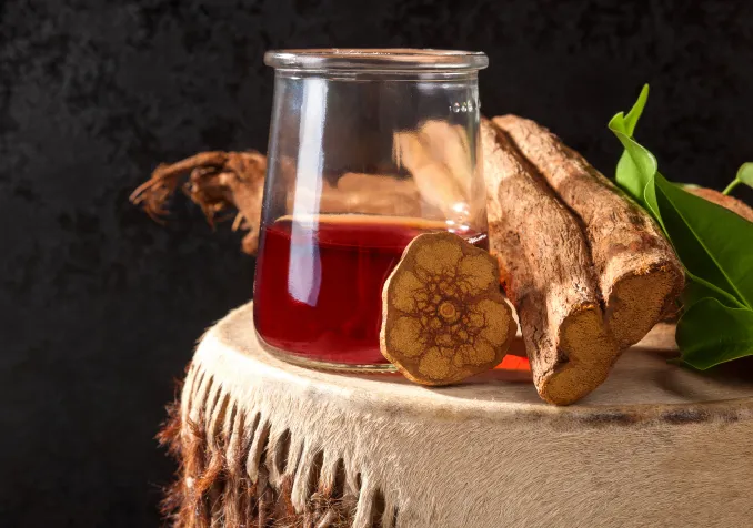 L’Ayahuasca, porte du paradis ou de l’enfer? ©iStock