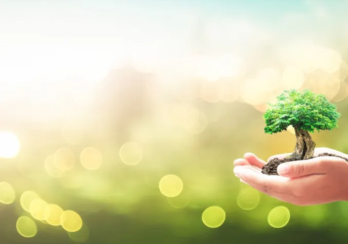 Juste avant la pandémie, un colloque sur la théologie verte a réuni une vingtaine de chercheurs à la Faculté de théologie protestante de Strasbourg. IStock