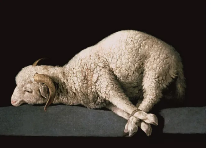 Agnus Dei de Francisco de Zurbarán DR
