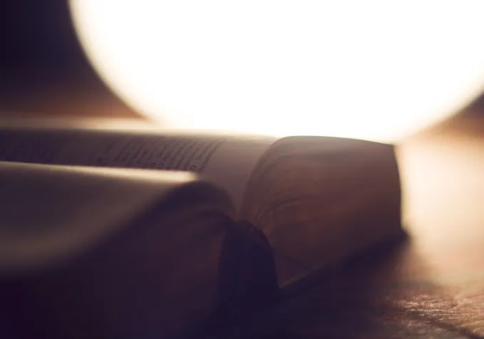 Que dit la Bible de l'homosexualité? Pixabay