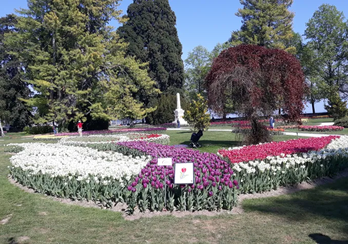 Fête des tulipes, Morges Fête des tulipes, Morges