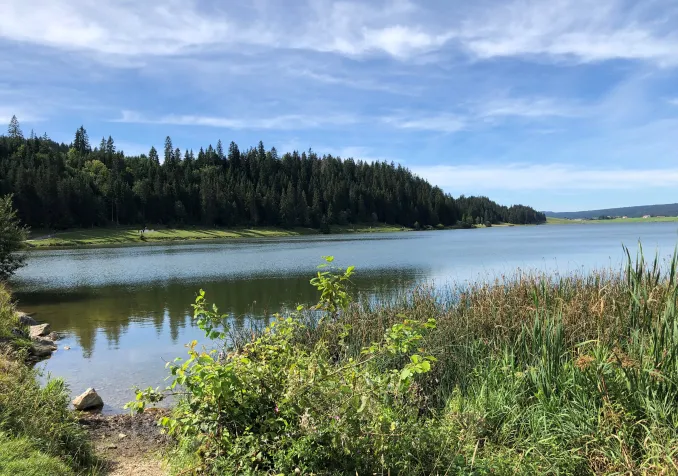 Lac des Taillères (NE) En chemin