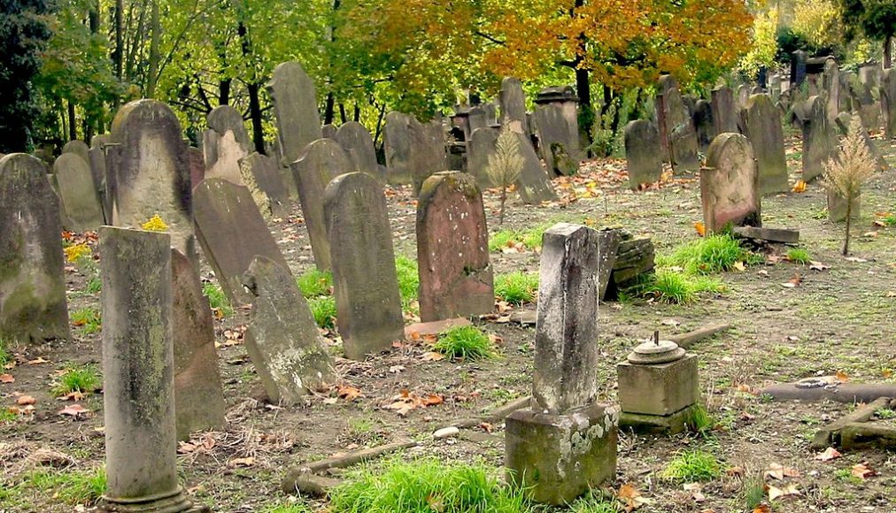 Cimetière juif de Koenigshoffen, Strasbourg / ©Micharthur 007, CC BY-SA 3.0 Wikimedia Commons