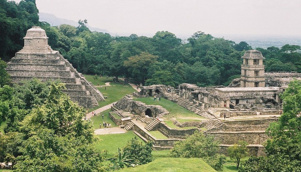 Le site maya de Palenque au Mexique / ©Biologo Jorge Ayala, CC BY-SA 4.0 Wikimedia Commons