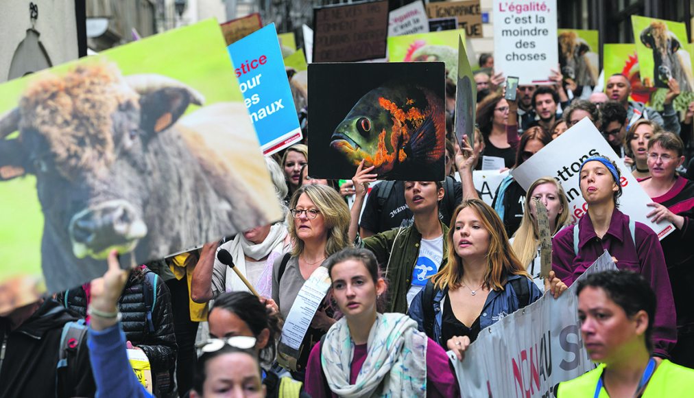 Des activistes antispécistes manifestent à Genève lors de la quatrième journée mondiale pour la fin du spécisme, le 25 août 2018 Des activistes antispécistes manifestent à Genève lors de la quatrième journée mondiale pour la fin du spécisme, le 25 août 2018 / © Keystone / Martial Trezzini