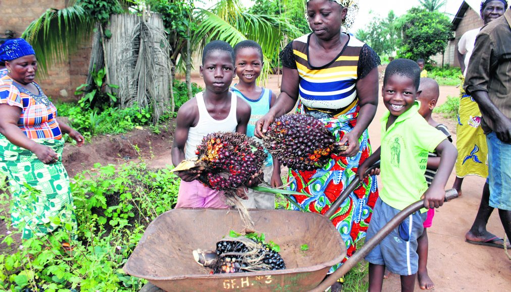 Une famille de cultivateurs en pleine récolte au Bénin / © PPP