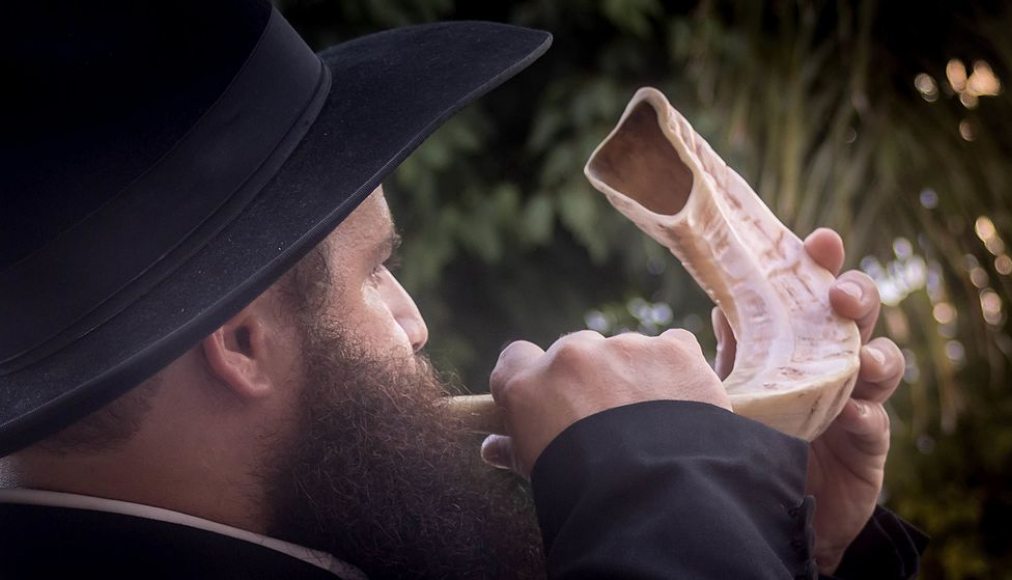 Le shofar, traditionnellement utilisé pour les grandes fêtes juives / ©Wikimedia Commons/MinoZig/CC BY-SA 4.0