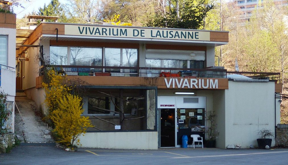 Le Vivarium de Lausanne en 2011 / ©Gzzz, CC BY-SA 3.0 Wikimedia Commons