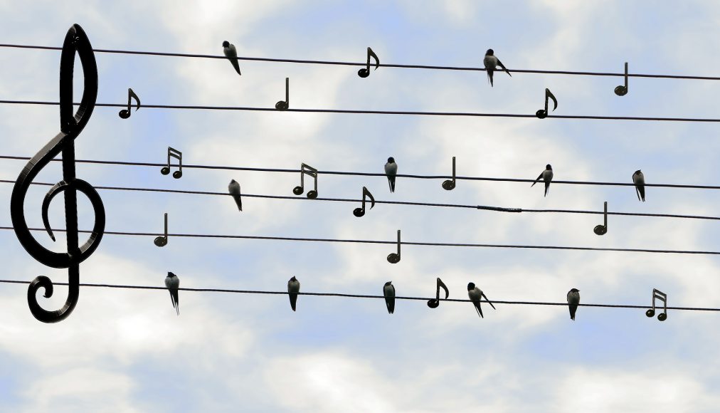 Le chant peut être méditation, lorsqu&#039;il vise l&#039;apaisement. / Pixabay