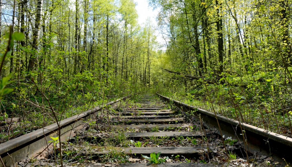 Chemin de fer abandonné dans la forêt / ©iStock/FedotovAnatoly