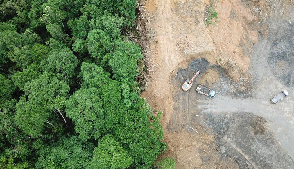 La déforestation silencieuse de l&#039;Amazonie profite de la pandémie. / IStock