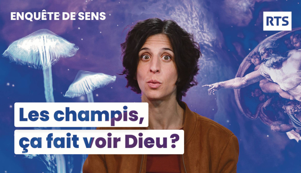La deuxième série des explainers RTSreligion, «Enquête de sens» est diffusée sur YouTube dès ce printemps. La deuxième série des explainers RTSreligion, «Enquête de sens» est diffusée sur YouTube dès ce printemps. / ©RTSreligion