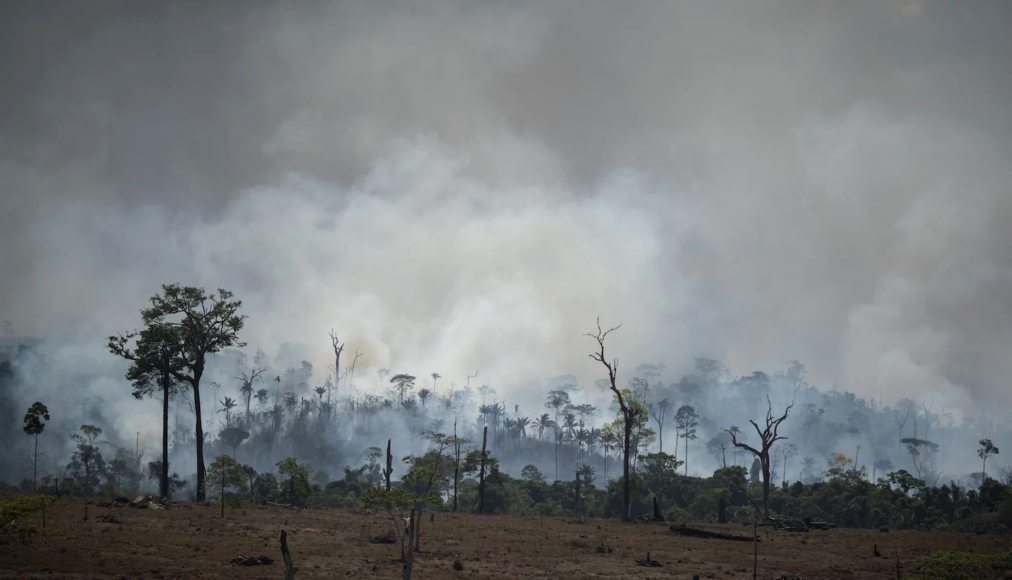 Incendies à Altamira, dans la région de Pará, au Brésil, le 27 août 2019. / © RNS/AP Photo/Leo Correa