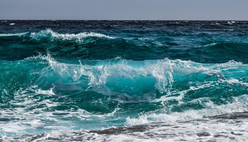 Religion. Immergé trois fois dans l'eau bénite, le bébé meurt