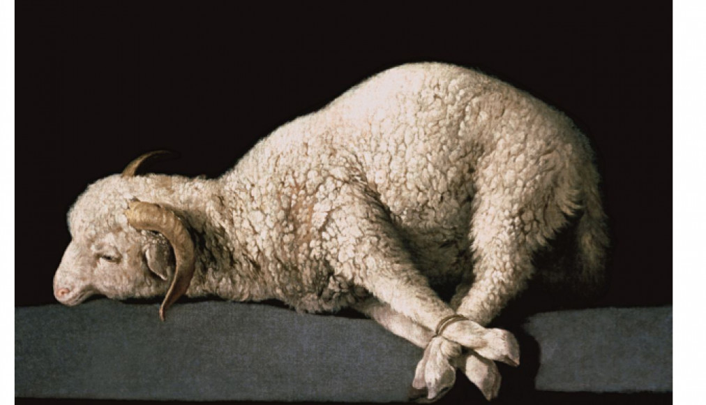Agnus Dei de Francisco de Zurbarán Agnus Dei de Francisco de Zurbarán / DR