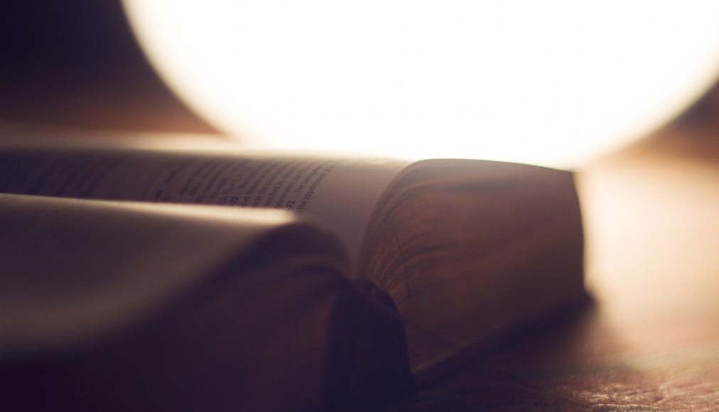 Que dit la Bible de l'homosexualité? Que dit la Bible de l'homosexualité? / Pixabay