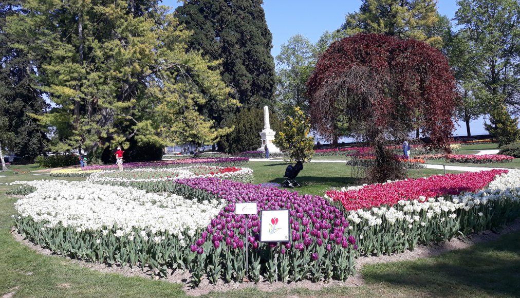 Fête des tulipes, Morges / Fête des tulipes, Morges