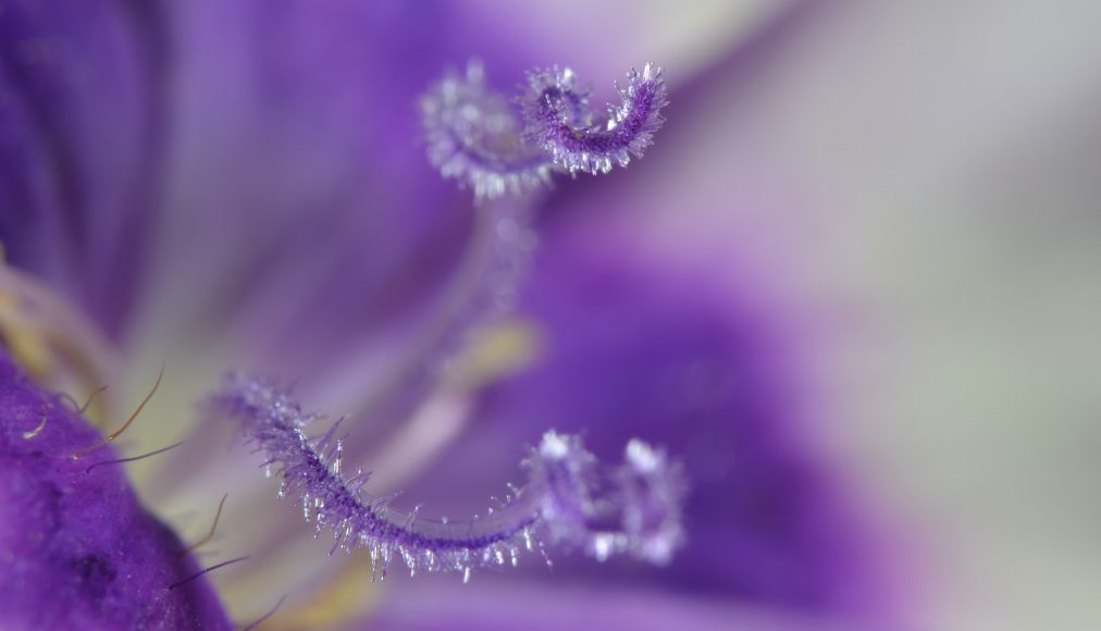 Laura Ockel/Unsplash