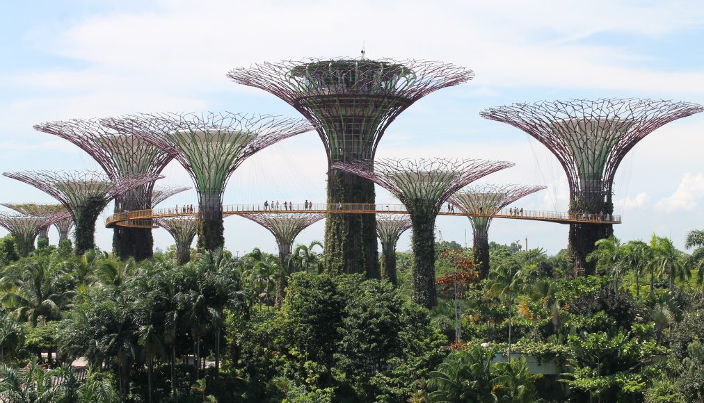 Singapour Gardens by the bay entre artificialité et idéalisation de la nature Singapour Gardens by the bay entre artificialité et idéalisation de la nature / Singapour entre artificialité et idéalisation de la nature. Photo Gilles Bourquin