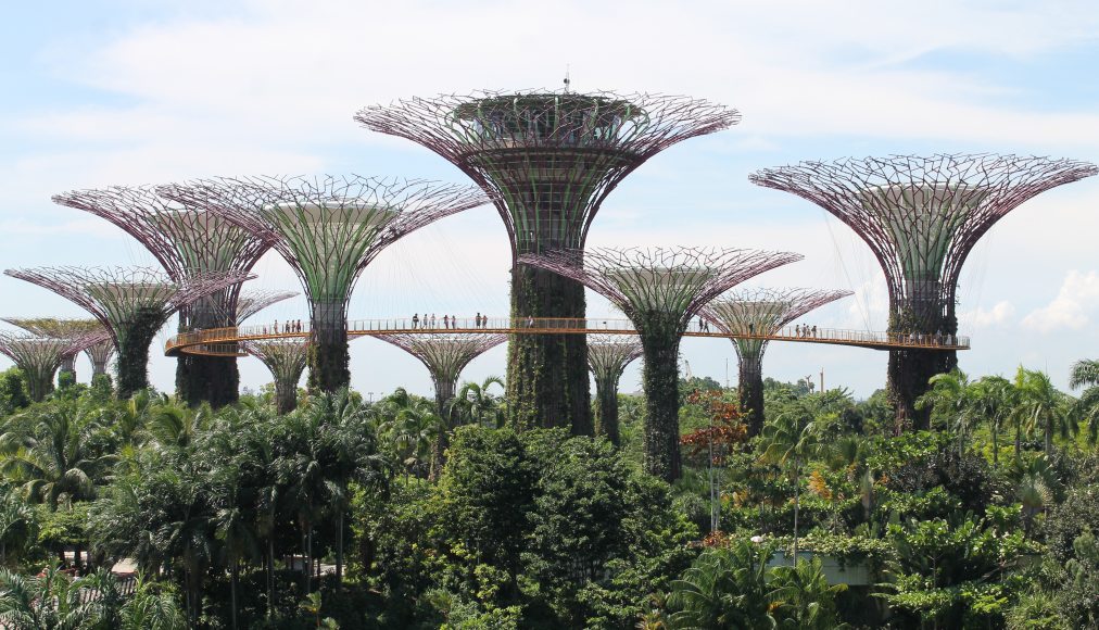 Singapour Gardens by the bay entre artificialité et idéalisation de la nature / Singapour entre artificialité et idéalisation de la nature. Photo Gilles Bourquin