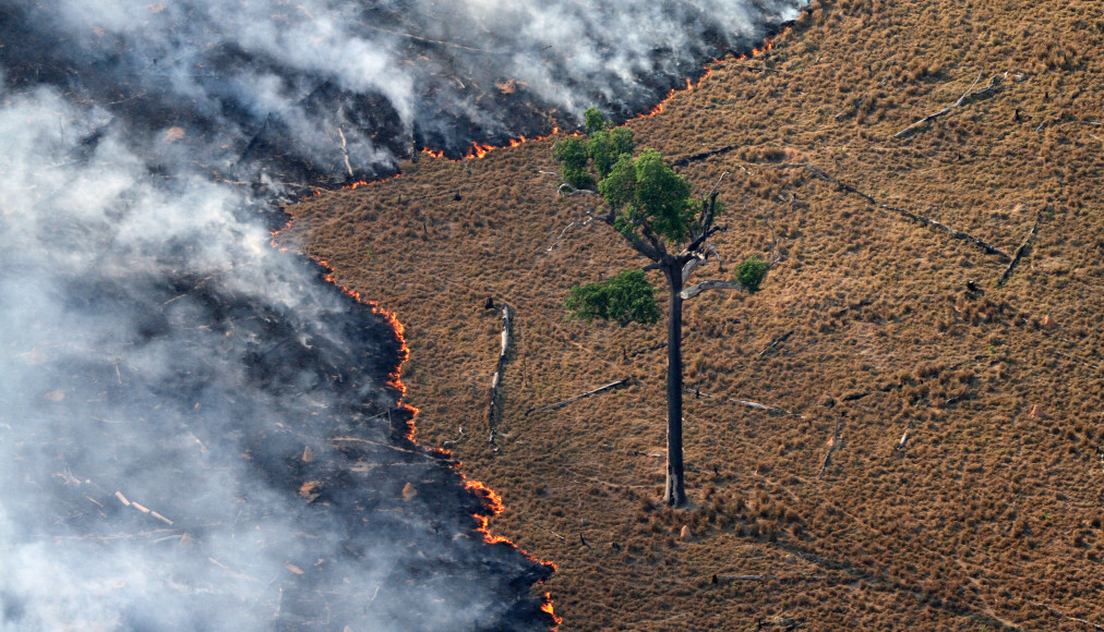 © Greenpeace | Rodrigo Baléia