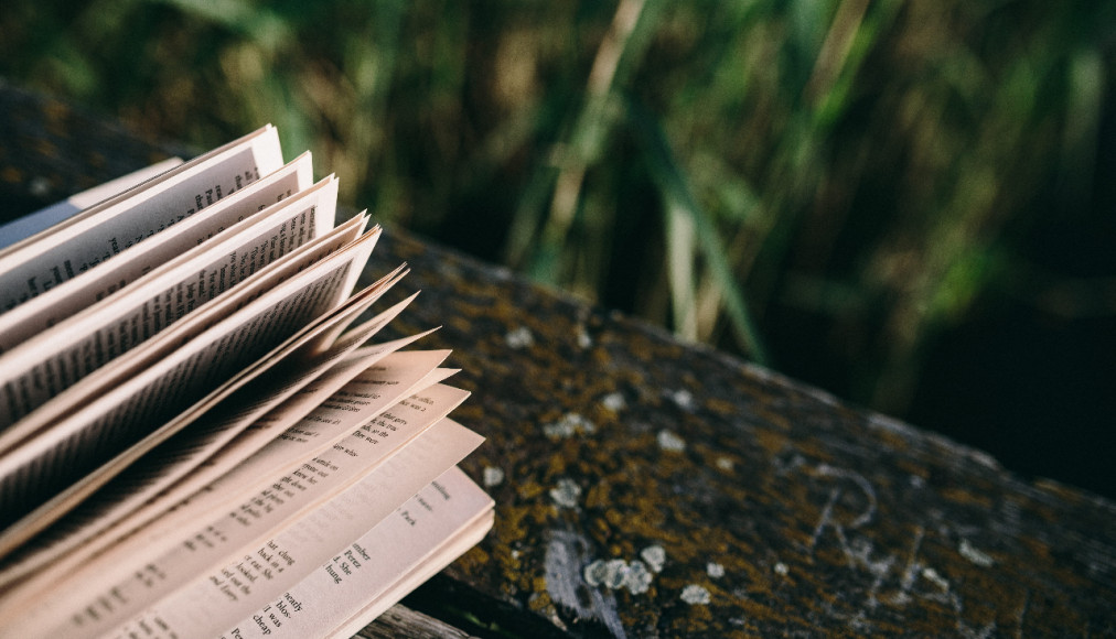 Des livres pour Pâques Des livres pour Pâques / piqsels.com-id-szhfj.jpg