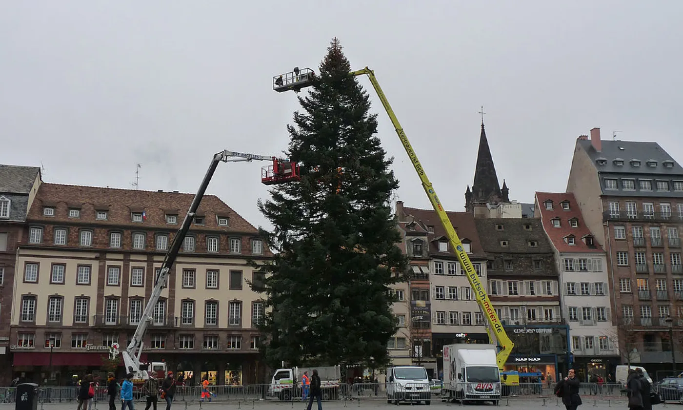 Installation du sapin de la place Kléber à Strasbourg ©Ji-Elle, CC BY-SA 3.0 Wikimedia Commons