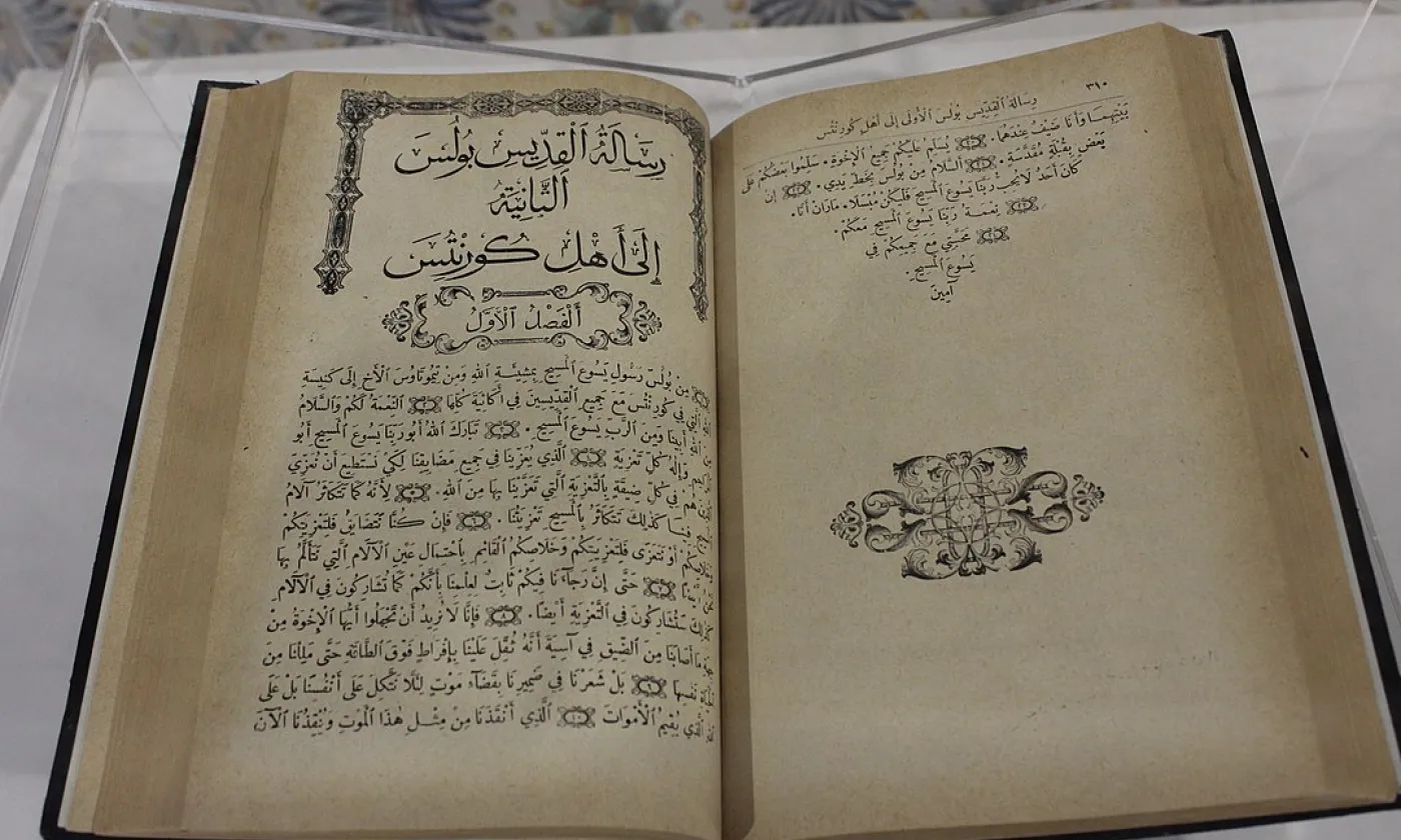 ©Sami Mlouhi, CC BY-SA 4.0, Wikimedia Commons