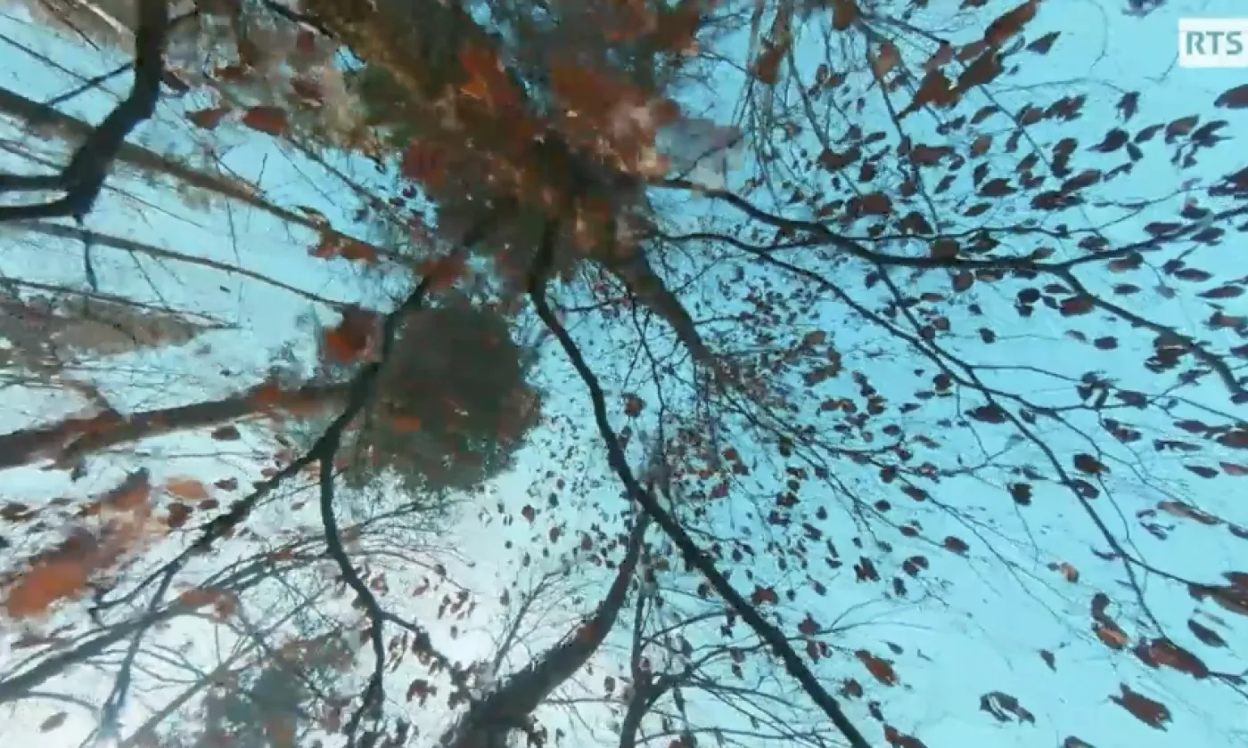 La mélodie du vivant ©RTSreligion