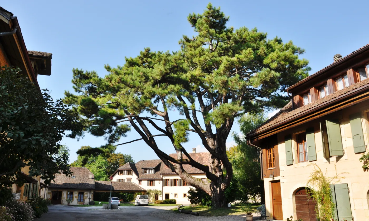 ©Alexandra Urfer Jungen