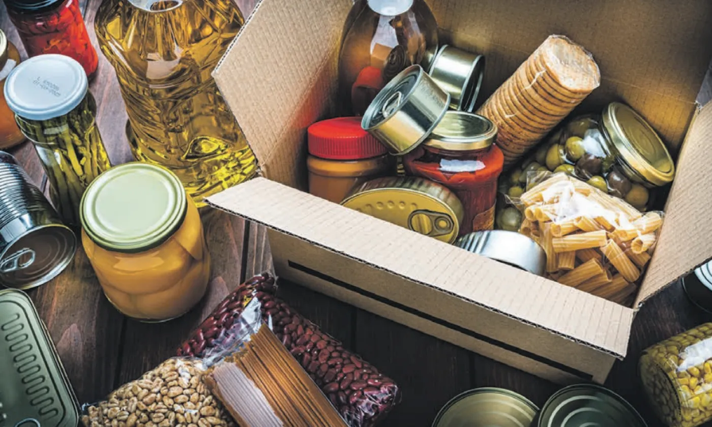 Le potager de Genolier et les «jardiniers» du premier jardin solidaire à Begnins. ©DR