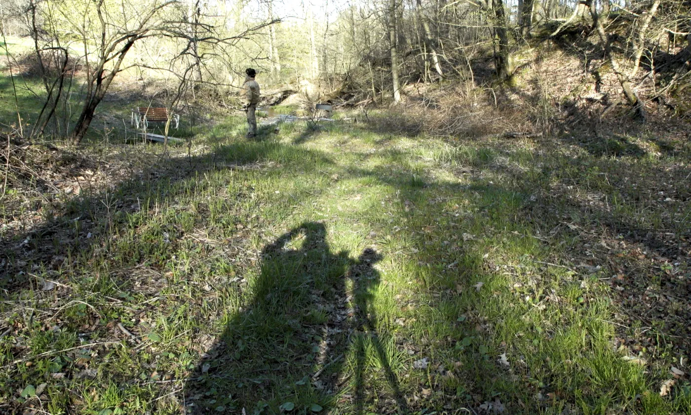 «Grass» / While the Green Grass Grows ©Peter Mettler