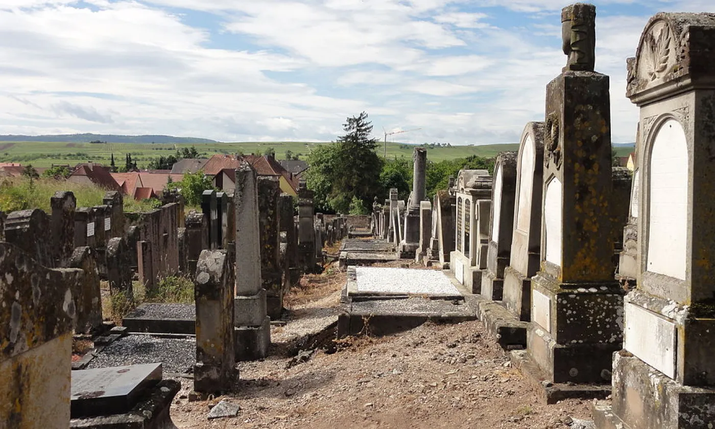 ©Wikimedia Commons/Ralph Hammann/CC BY-SA 4.0