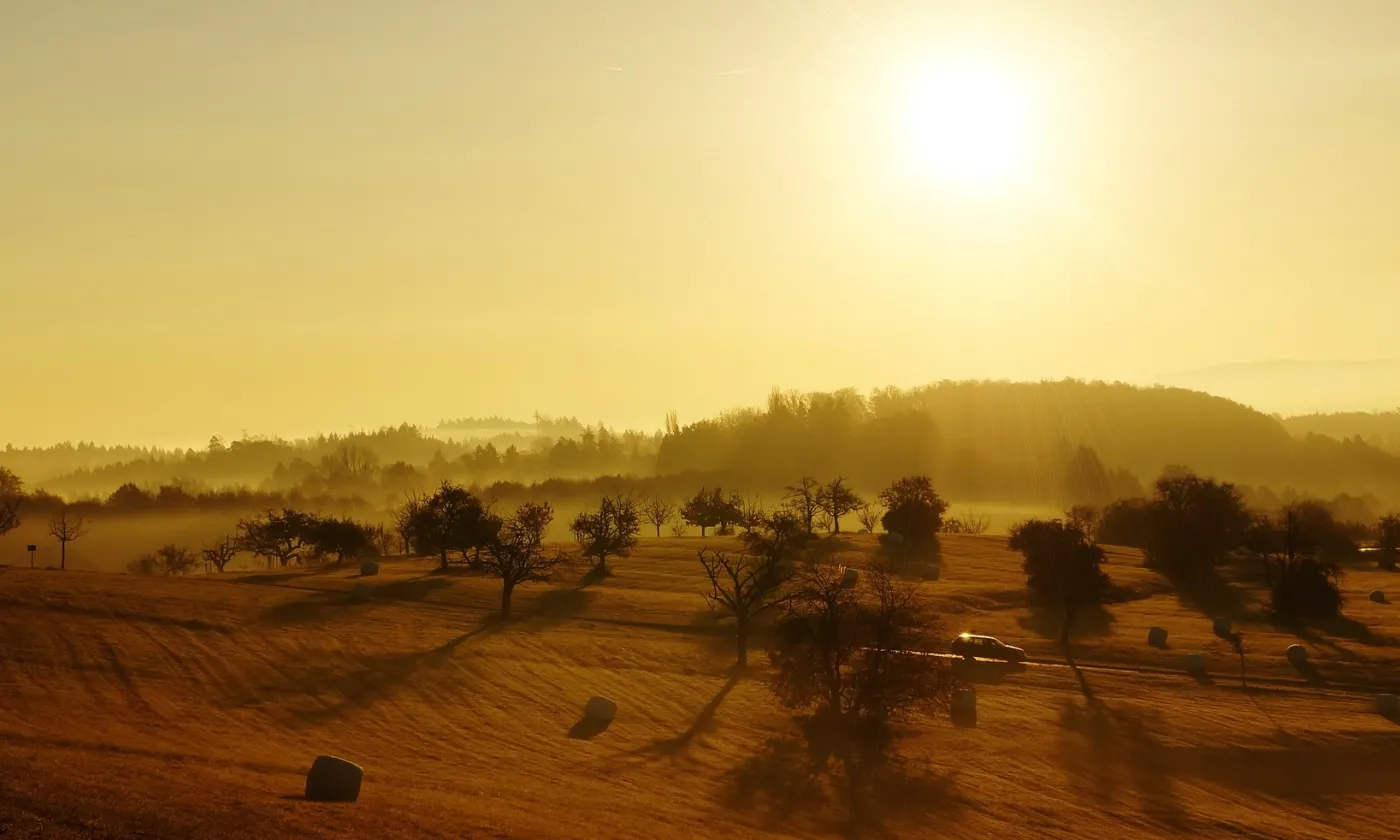 L'automne, encore des chances de réussite, ou bientôt la fin ?