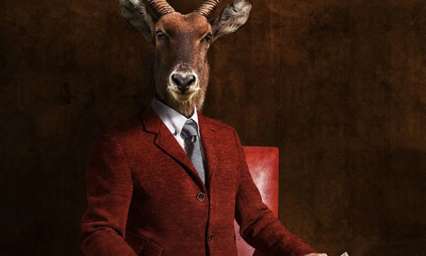 Photos: Jean-Sébastien Monzani / Concept: Unicom / UNIL / La Grange de Dorigny 2013