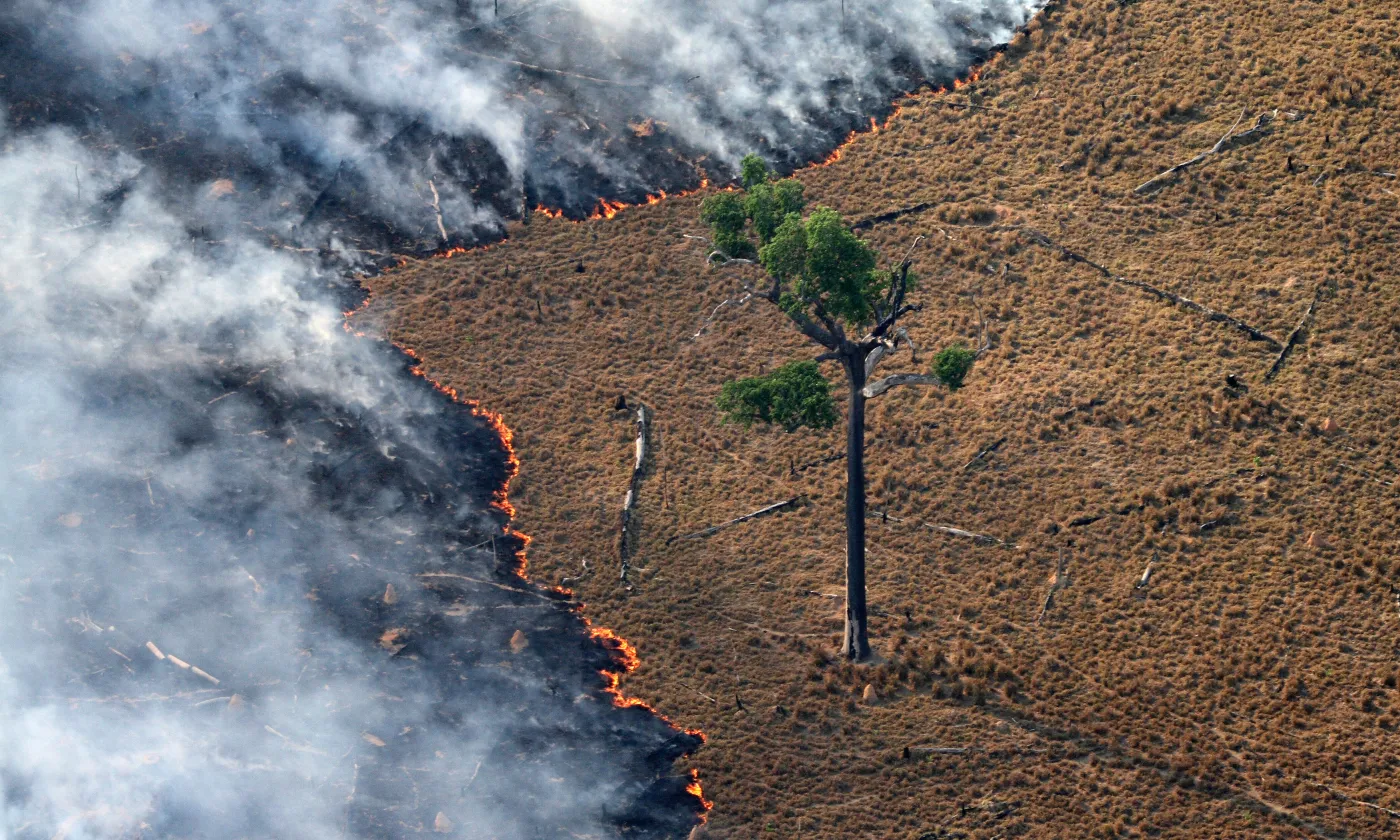 © Greenpeace | Rodrigo Baléia