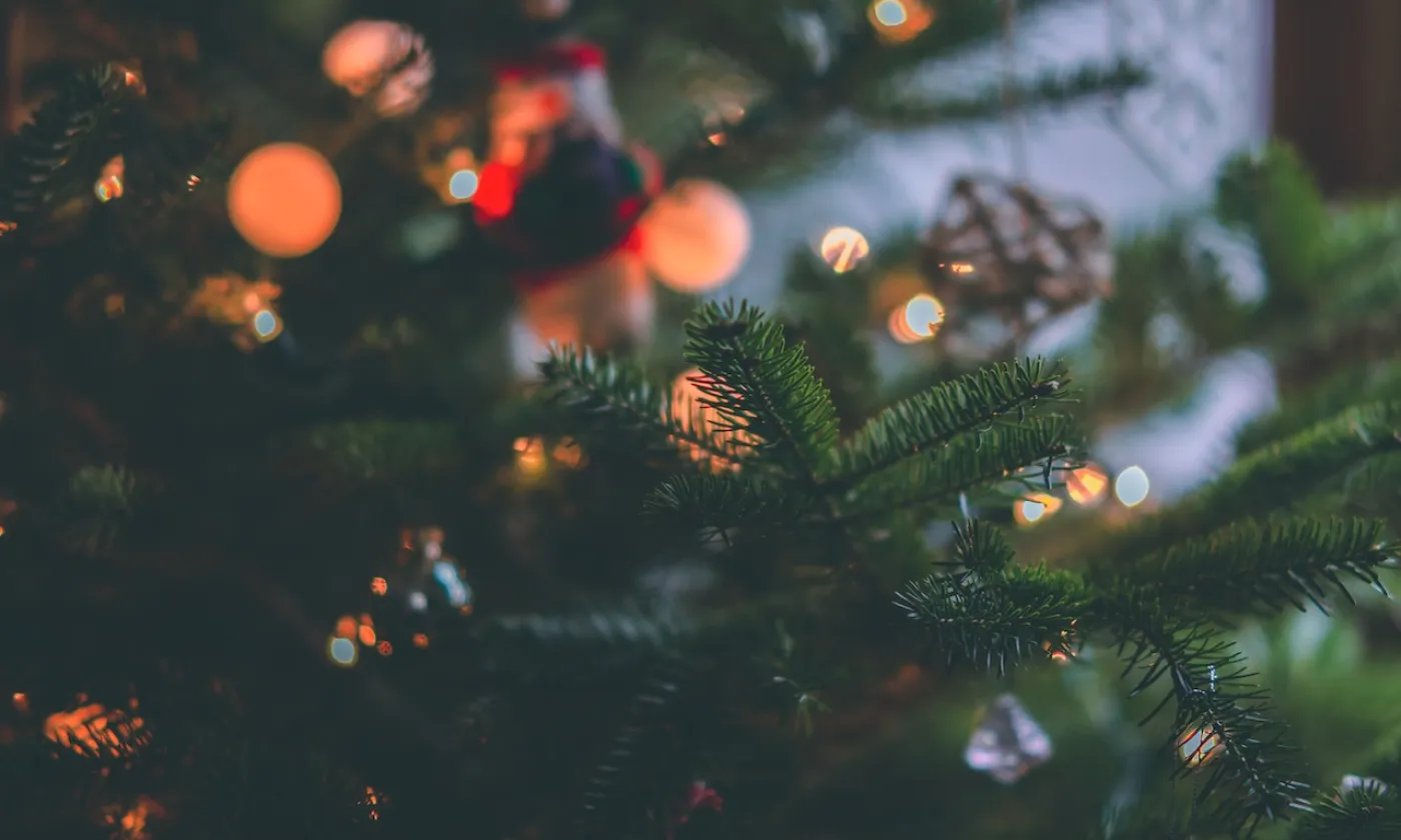 Des livres pour Noël - www.protestant-edition.ch christmas tree-craig-adderley-1671867.jpg